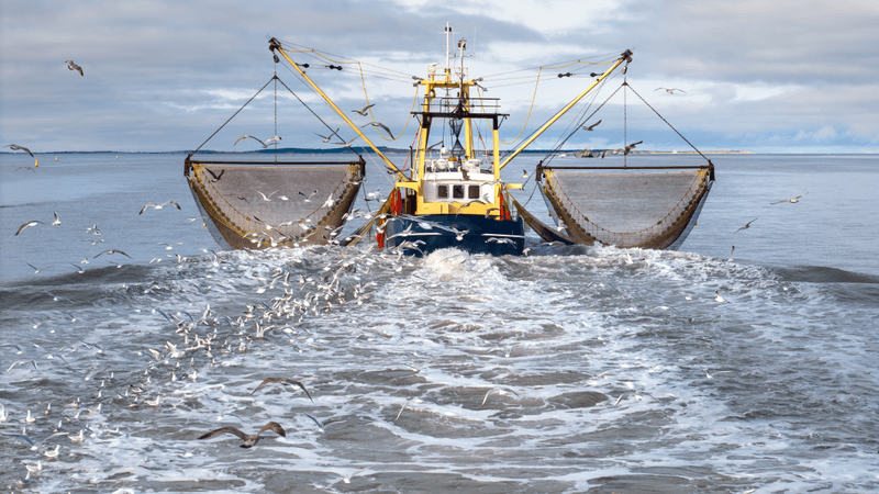 a trawler at sea pulling its nets behind it