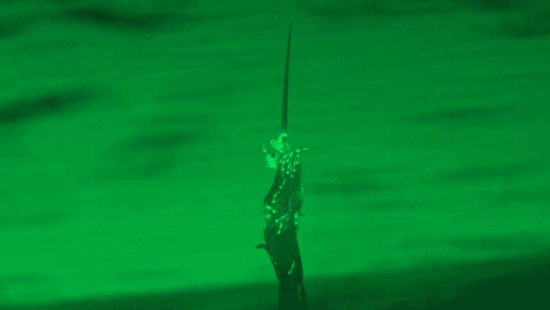 nematode worm Caenorhabditis elegans forming a tower